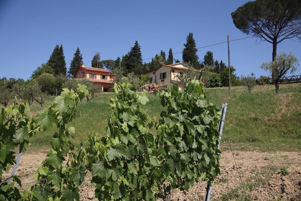 Agriturismo Podere Poggio Ai Cieli Сан-Джиминьяно Экстерьер фото